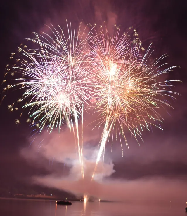 Pink, white and gold fireworks above a pontoon on Lake Arbutus.
