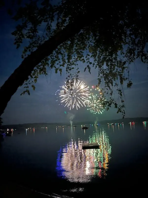 White and green fireworks reflected on the lake, framed by tree branches.